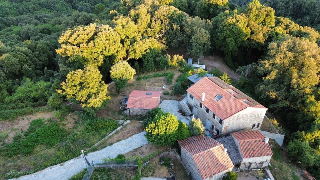 Chez Paulette - Meuble De Tourisme Classe 3 Etoiles Zonza Zewnętrze zdjęcie
