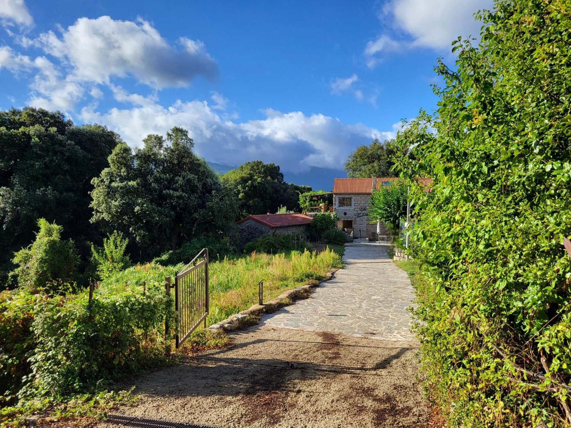 Chez Paulette - Meuble De Tourisme Classe 3 Etoiles Zonza Zewnętrze zdjęcie