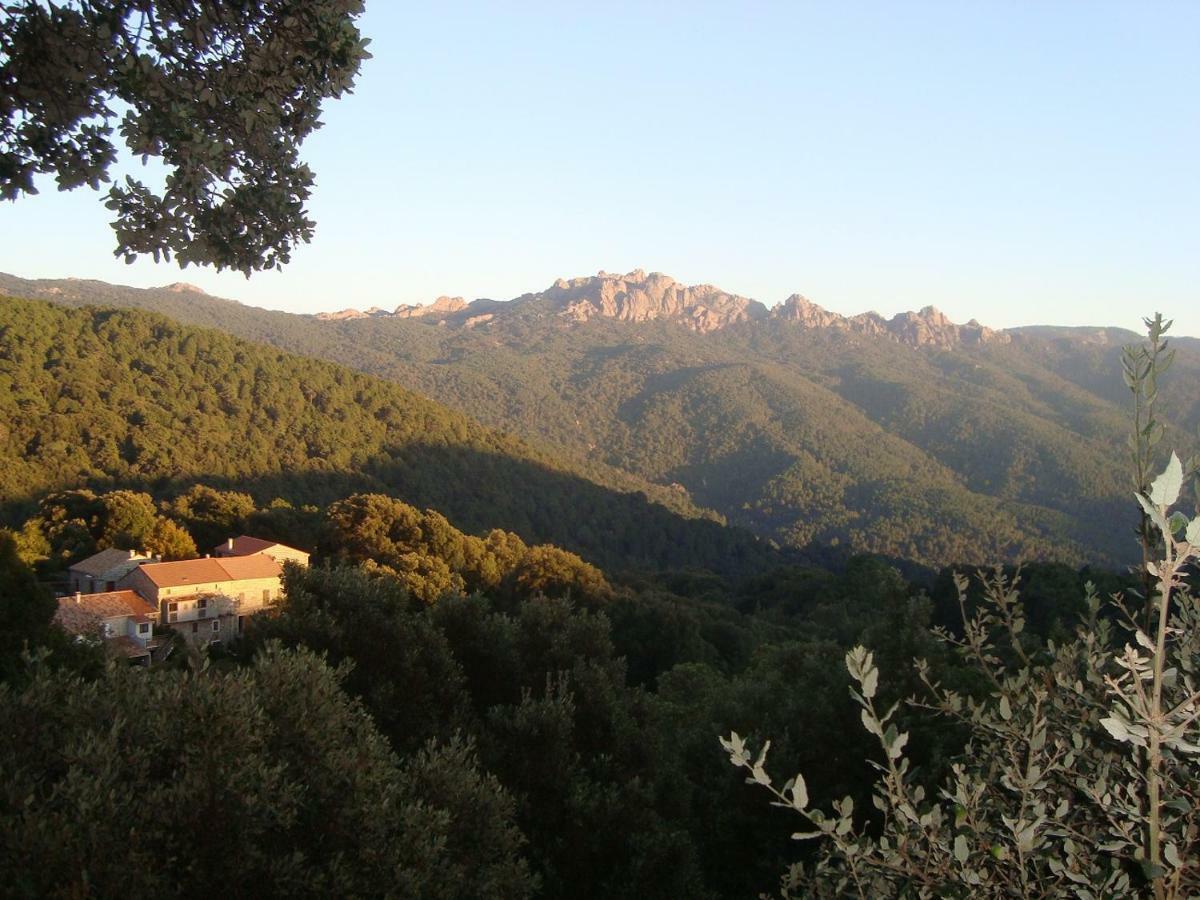 Chez Paulette - Meuble De Tourisme Classe 3 Etoiles Zonza Zewnętrze zdjęcie
